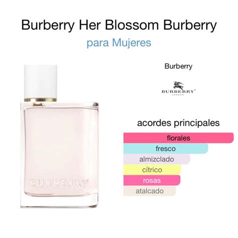 notas del perfume burberry her|burberry her perfume.